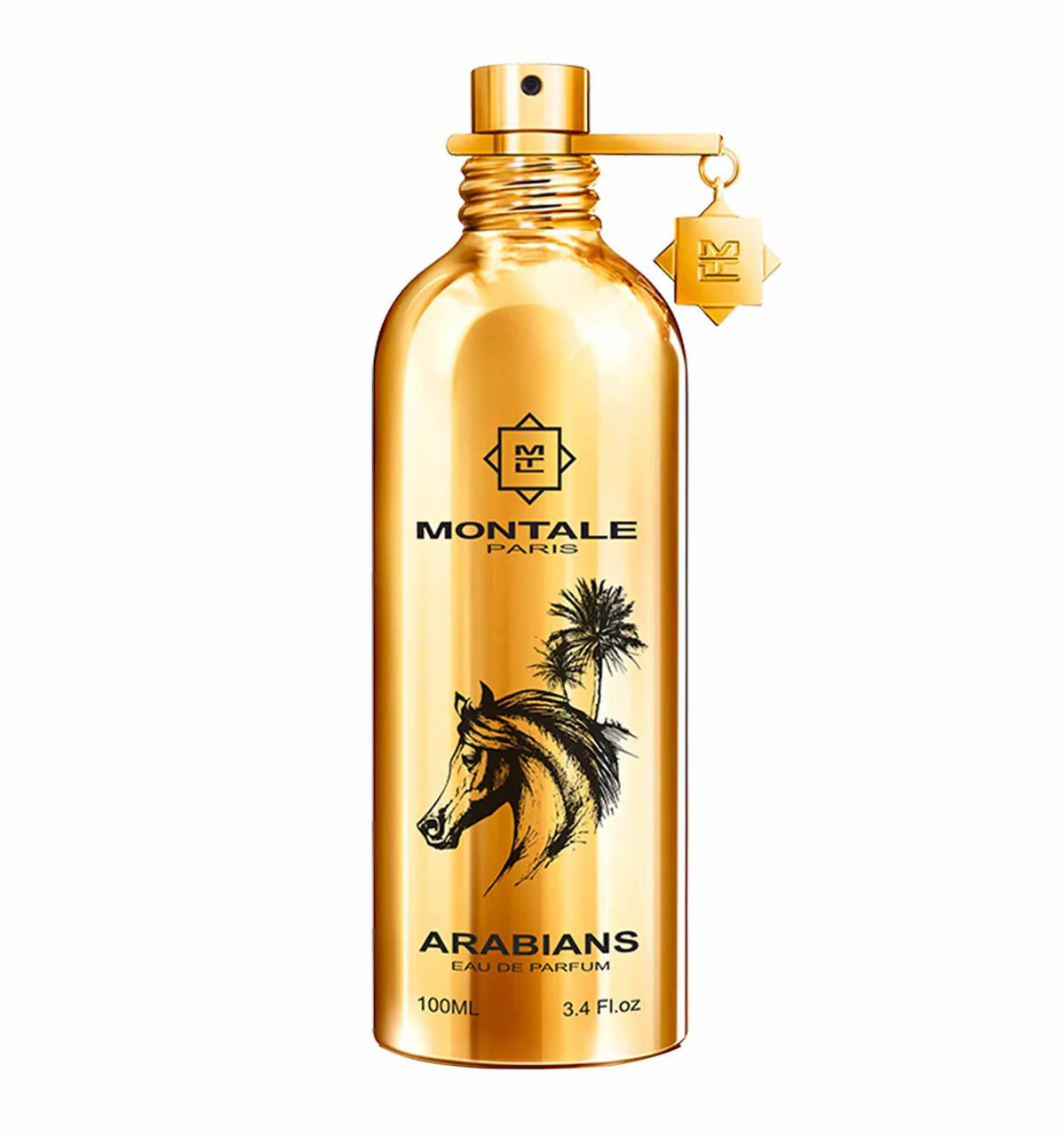 ARABIANS Eau De Parfum 100 ML